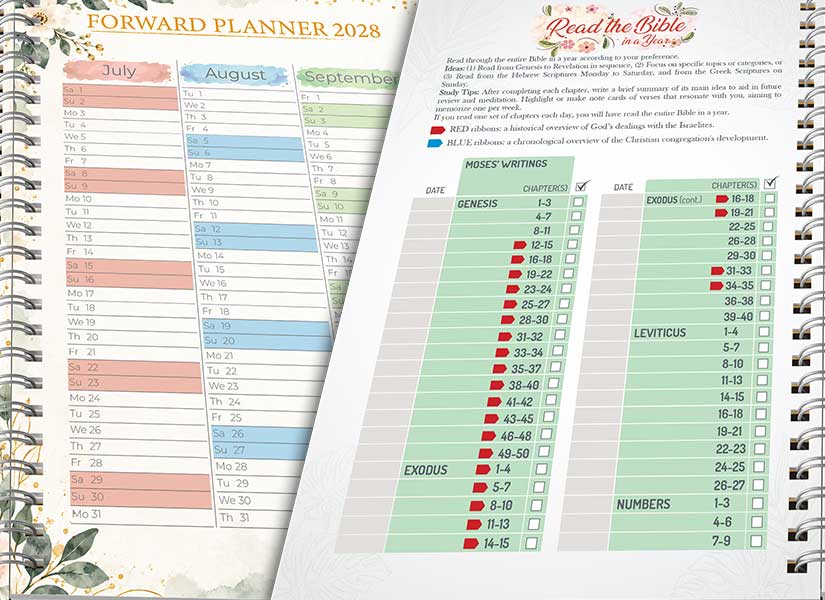 read the bible in a year schedule
